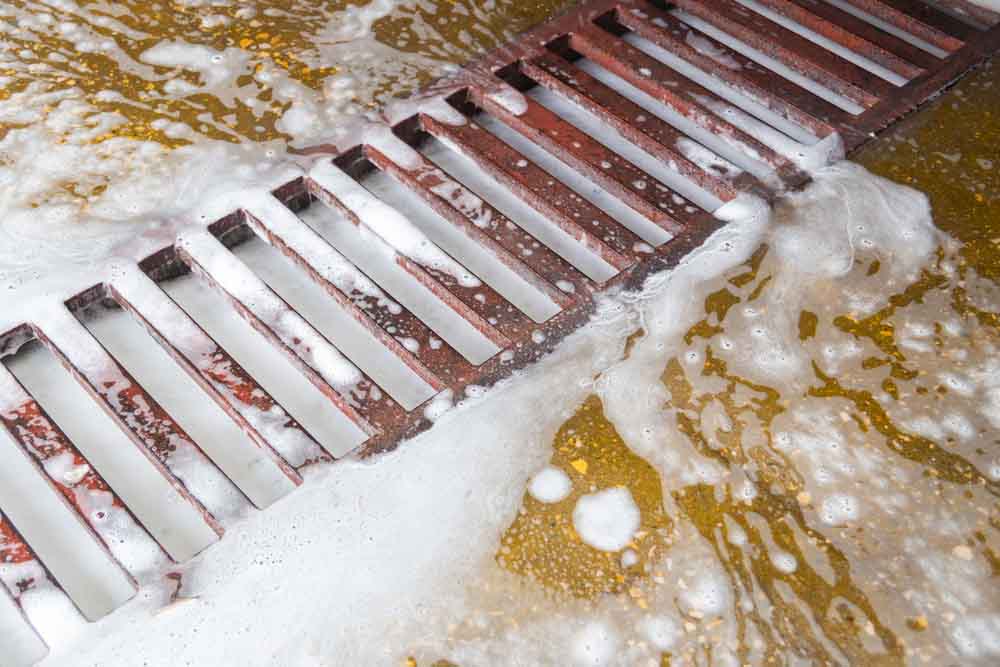 floor drains in a food business getting cleaned